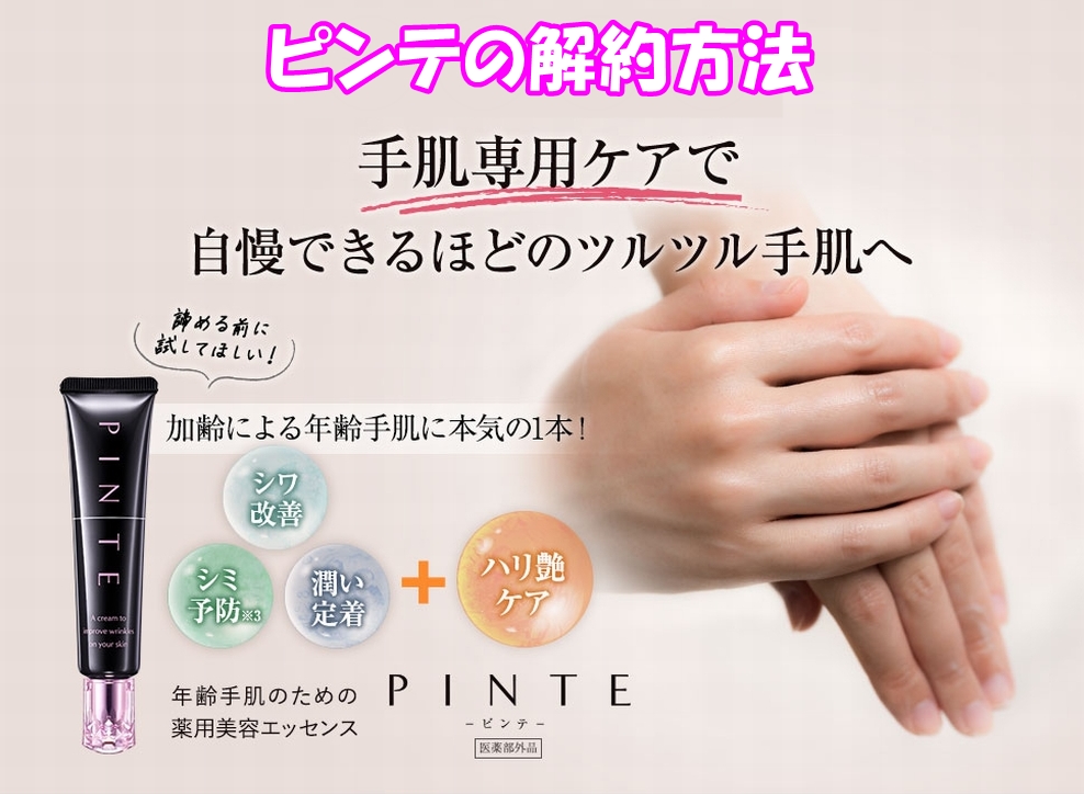 ピンテの解約方法