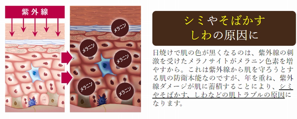 紫外線の悪影響