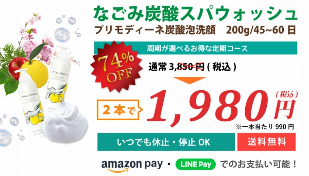 なごみ炭酸スパウォッシュの定期コース