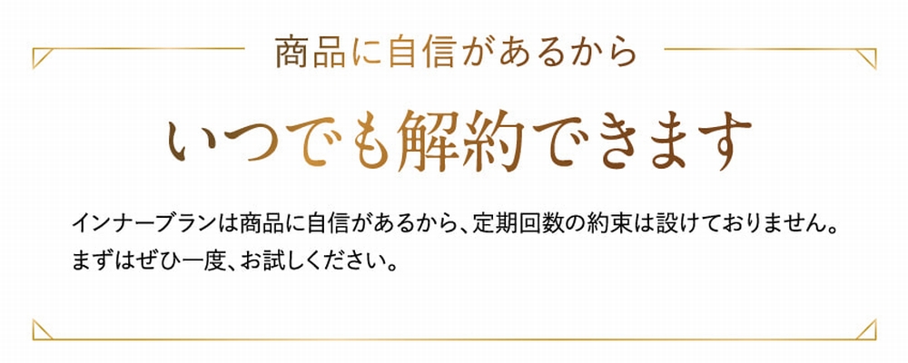 定期縛りなし
