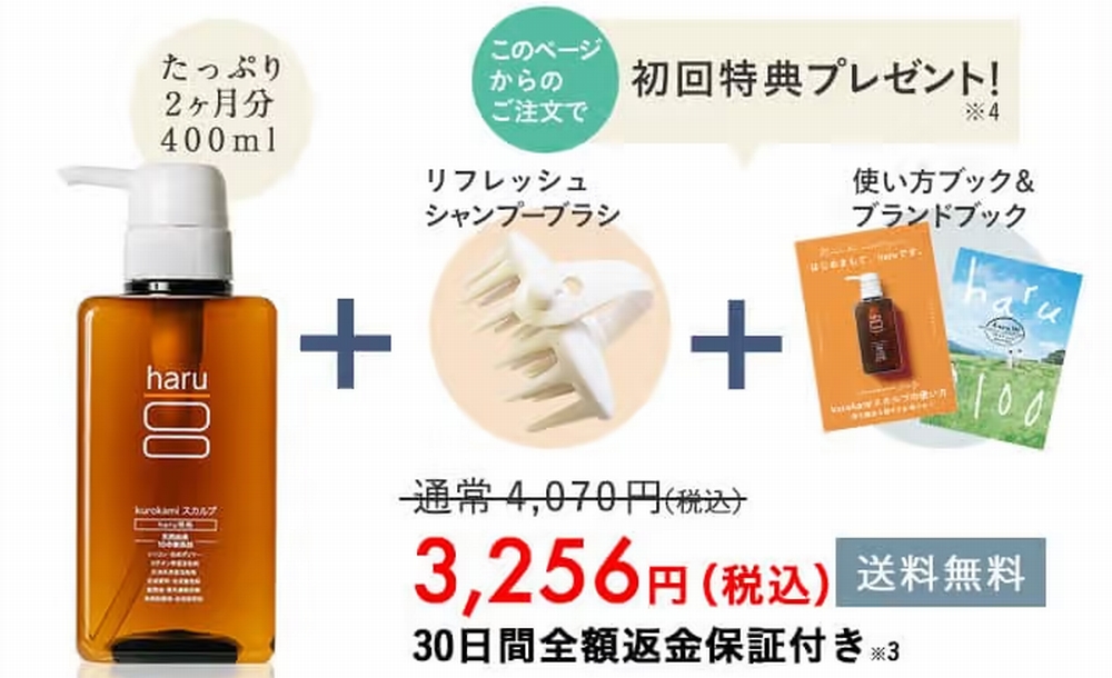 定期コース