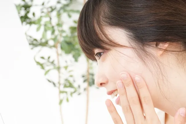 今後、CICA（シカ）の人気はどうなっていくか？