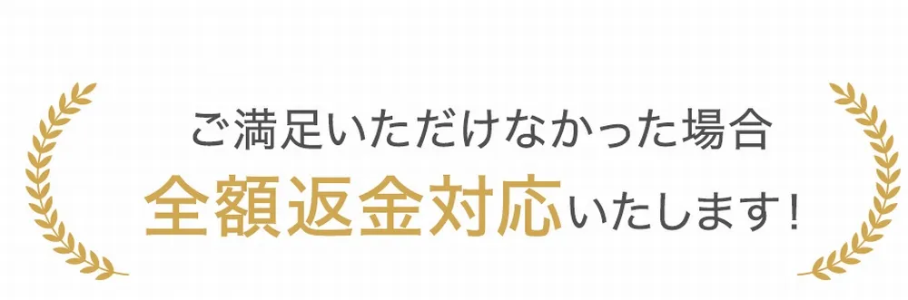 ロングラッシュリッチ全額返金保証